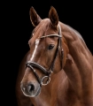 Oglowie-WALDHAUSEN-X-Line-Clincher-brown-04