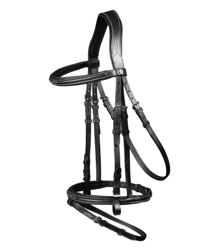 Oglowie-WALDHAUSEN-X-Line-Santander-black-01