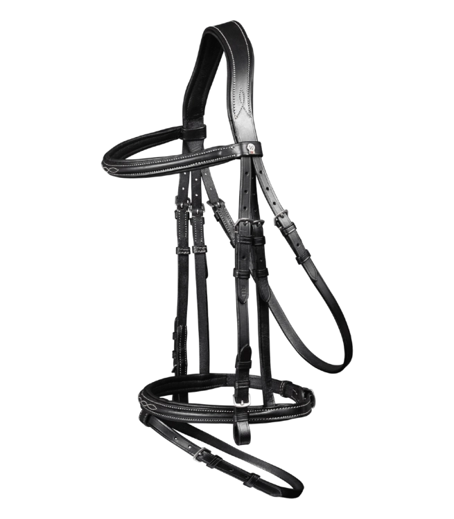 Oglowie-WALDHAUSEN-X-Line-Santander-black-01