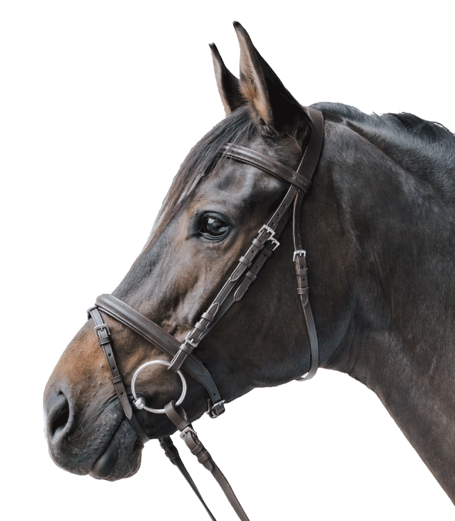 Oglowie-STAR-Lifestyle-brown-01