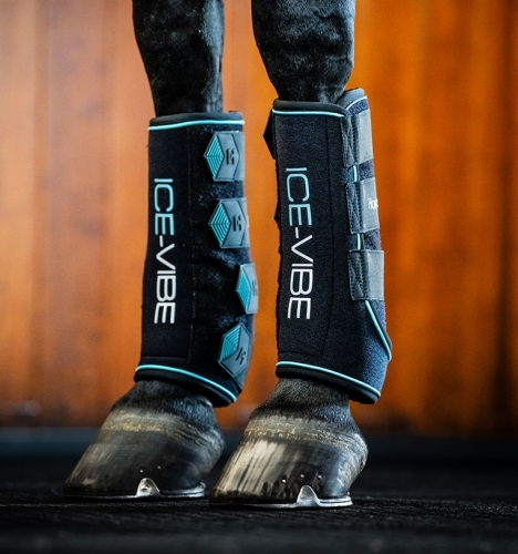 ochraniacze-chlodzaco-wibrujace-horseware-ice-6.jpg