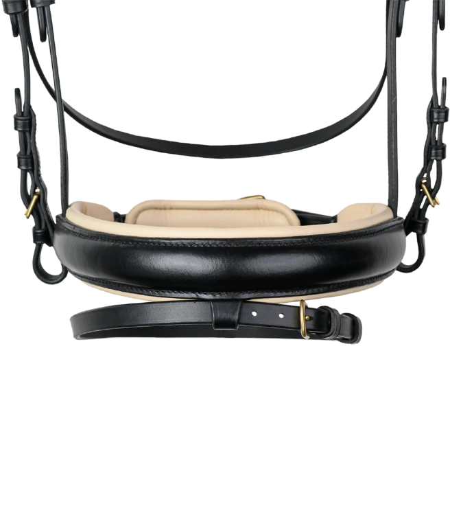 Oglowie-WALDHAUSEN-X-Line-Ivory-black-02