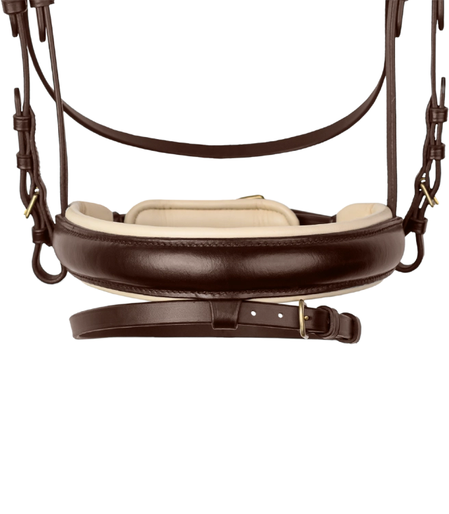 Oglowie-WALDHAUSEN-X-Line-Ivory-brown-02