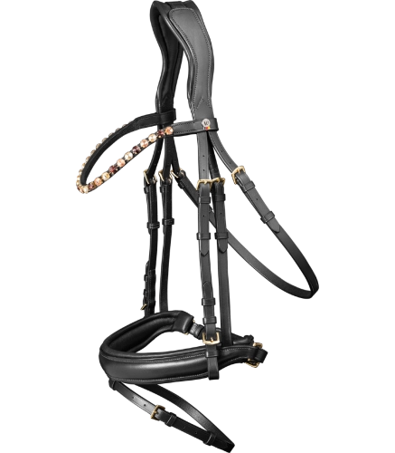 Oglowie-WALDHAUSEN-X-Line-Goldheart-black-01
