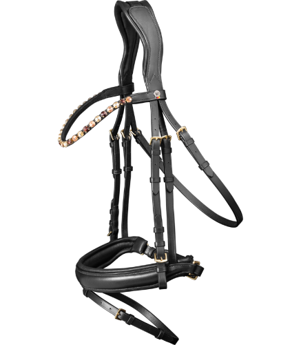 Oglowie-WALDHAUSEN-X-Line-Goldheart-black-01