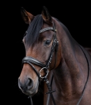 Oglowie-WALDHAUSEN-S-Line-Blackshine-04