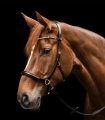 Oglowie-bezwedzidlowe-WALDHAUSEN-X-Line-Bitless-brown-04