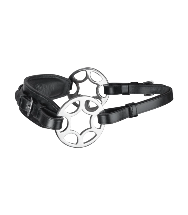 Hackamore-WALDHAUSEN-Sensitive-Bitless-01