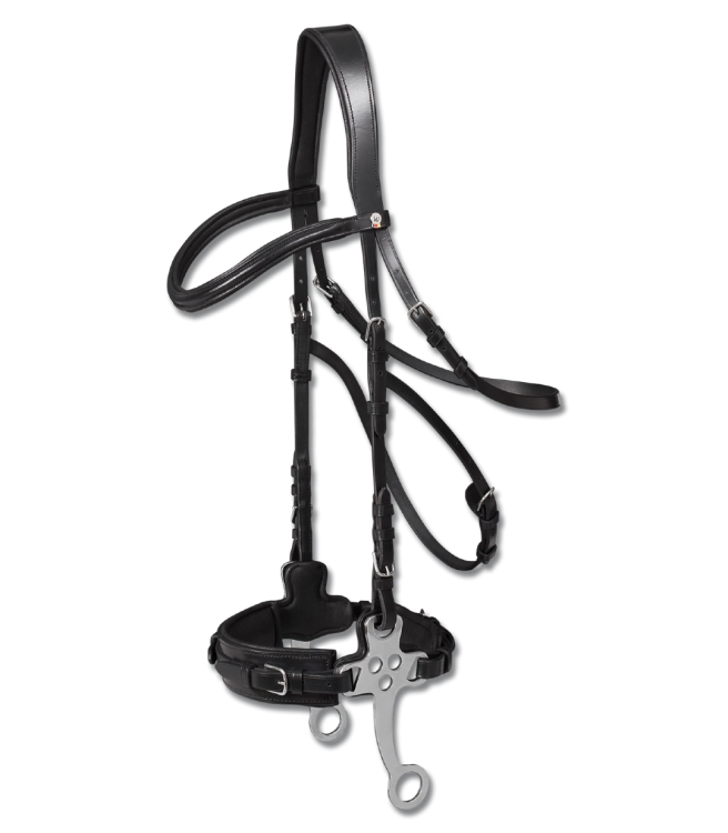 Oglowie-hackamore-WALDHAUSEN-X-Line-Hackamore-Bridle-black-01