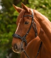 Oglowie-hackamore-WALDHAUSEN-X-Line-Hackamore-Bridle-black-03