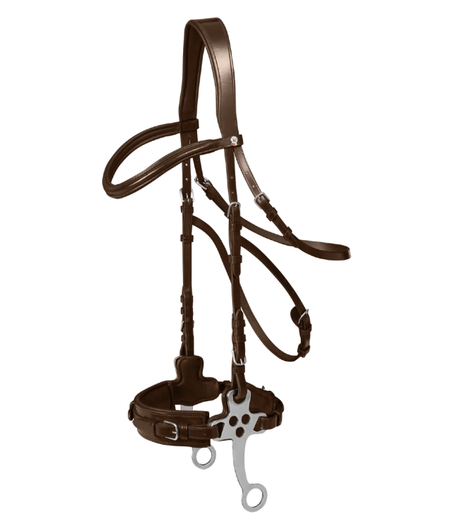 Oglowie-hackamore-WALDHAUSEN-X-Line-Hackamore-Bridle-brown-01