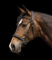 Oglowie-bezwedzidlowe-WALDHAUSEN-X-Line-Bitless-Bridle-Supersoft-02