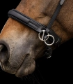 Oglowie-bezwedzidlowe-WALDHAUSEN-X-Line-Bitless-Bridle-Supersoft-03