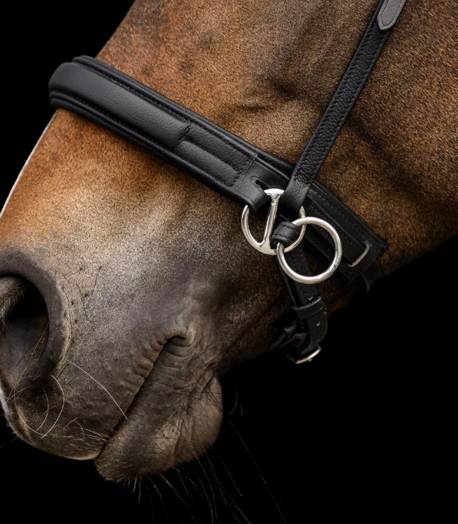 Oglowie-bezwedzidlowe-WALDHAUSEN-X-Line-Bitless-Bridle-Supersoft-03