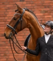 Oglowie-munsztukowe-WALDHAUSEN-X-Line-Double-Bridle-02