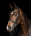 Oglowie-munsztukowe-WALDHAUSEN-X-Line-Double-Bridle-03