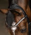 Oglowie-munsztukowe-WALDHAUSEN-X-Line-Double-Bridle-04