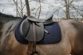 Czaprak-Riding-World-Wave-navy-blue-1