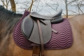 Czaprak-Riding-World-Wave-burgundy
