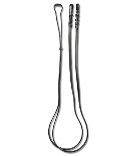 Wodze-munsztukowe-WALDHAUSEN-Double-Bridle-01