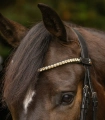 Naczolek-WALDHAUSEN-X-Line-Shine-Black-toffee-03