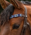 Naczolek-WALDHAUSEN-X-Line-Polo-Brown-blue/lightblue-03