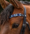 Naczolek-WALDHAUSEN-X-Line-Polo-Black-blue-light-blue-03