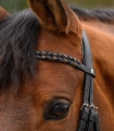 Naczolek-WALDHAUSEN-X-Line-Braided-02