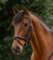 Naczolek-WALDHAUSEN-X-Line-Braided-03
