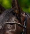 9579049-VB_15_1920x1920.jpg