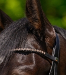 9579049-VB_15_1920x1920.jpg