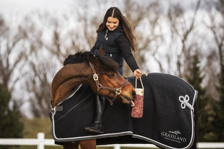 Gryzak-dla-koni-DOCTOR-HORSE-Rose-delight-05