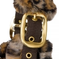 Kantar-START-TeddyLeopard-04
