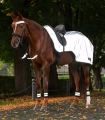 Owijki-odblaskowe-WALDHAUSEN-Reflex-Bandage-silver-07
