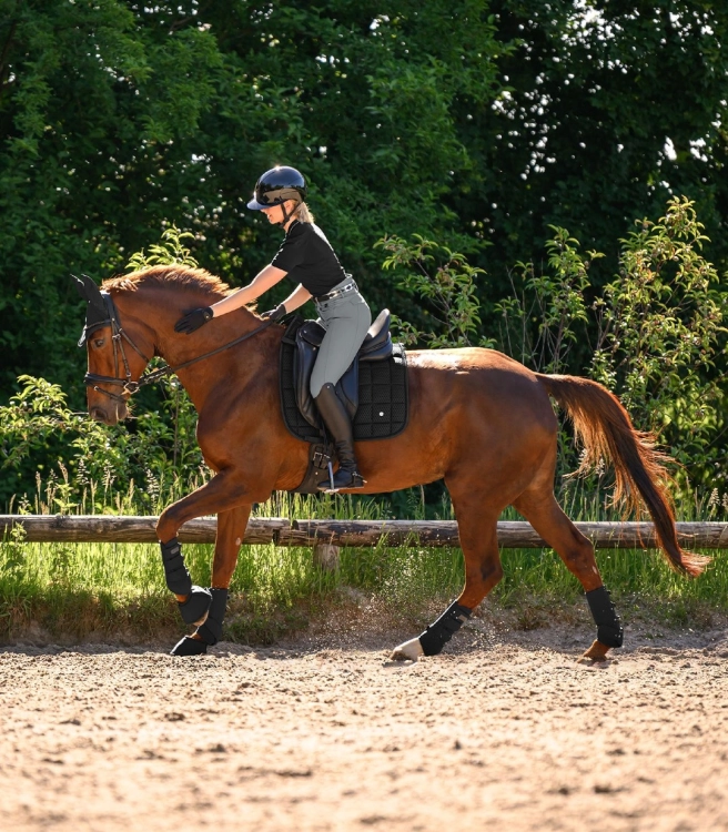 Ochraniacze-ujezdzeniowe-WALDHAUSEN-Air-Performance-black-010