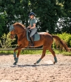 Ochraniacze-ujezdzeniowe-WALDHAUSEN-Air-Performance-pine-green-07