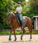 Ochraniacze-ujezdzeniowe-WALDHAUSEN-Air-Performance-pine-green-09