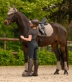 Ochraniacze-ujezdzeniowe-WALDHAUSEN-Air-Performance-toffee-05