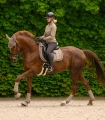 Ochraniacze-ujezdzeniowe-WALDHAUSEN-Air-Performance-toffee-07