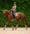 Ochraniacze-ujezdzeniowe-WALDHAUSEN-Air-Performance-toffee-08