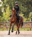 Kaloszki-WALDHAUSEN-Performance-black-08