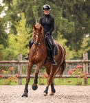 Kaloszki-WALDHAUSEN-Performance-black-08