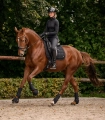 Kaloszki-WALDHAUSEN-Performance-black-09