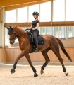 Kaloszki-WALDHAUSEN-Performance-black-10