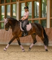 Kaloszki-WALDHAUSEN-Performance-mauve-05