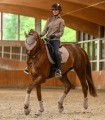 Kaloszki-WALDHAUSEN-Performance-toffee-07