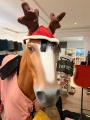 horze-christmas-reindeer-cup-nauszniki-swiateczne.jpg