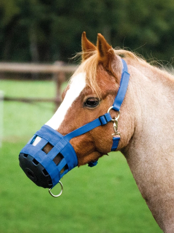 Busse-Classic kaganiec dla koni