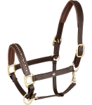 Kantar-skorzany-WALDHAUSEN-X-Line-Crystal-brown/gold-01