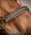 Kantar-skorzany-WALDHAUSEN-X-Line-Crystal-brown/gold-04